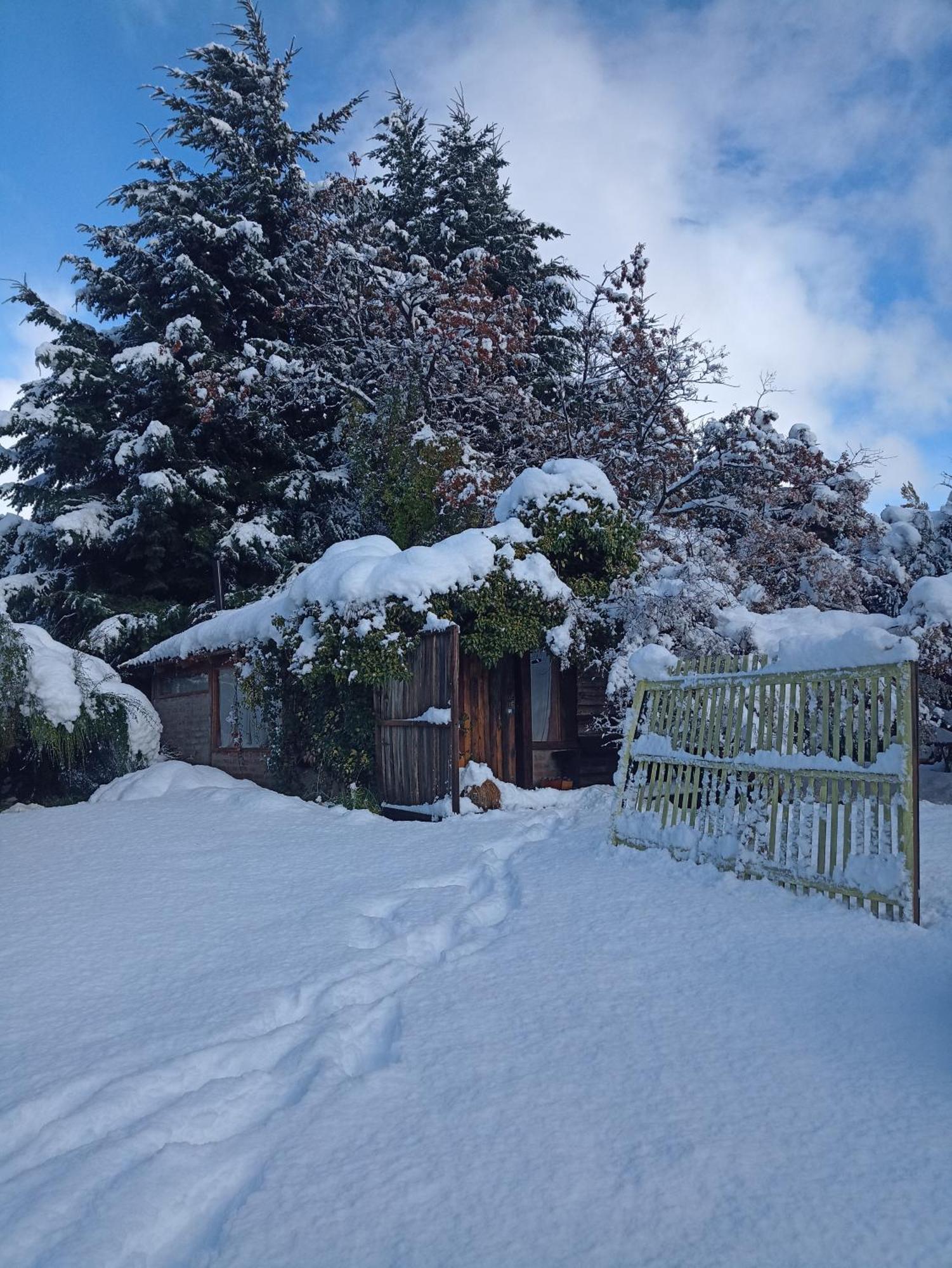 Bajo El Nire Apartment San Carlos de Bariloche Bagian luar foto